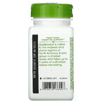 Goldenseal Rott, 30 capsules, Natures Way Goldenseal Rott, 30 capsules, Natures Way