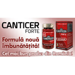 Canticer Forte, 120 vegetarian capsules, Qingdao Heshoutang Canticer Forte, 120 vegetarian capsules, Qingdao Heshoutang