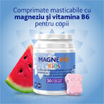 Magnevie Family Pack (MagneVie Stress Resist with Ashwaghanda + MagneVie Express + MagneVie Kids) Magnevie Family Pack (MagneVie Stress Resist with Ashwaghanda + MagneVie Express + MagneVie Kids)