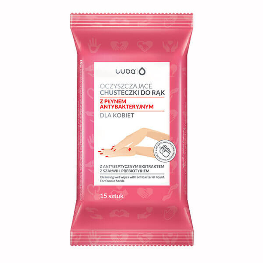 Luba, cleansing moistened hand wipes with antibacterial liquid, for women, 15 pieces