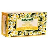 Chamomile tea, 20 sachets, Naturavit