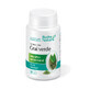 Green tea, 30 capsules, Rotta Natura