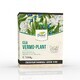 Dorel Plant
