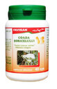 Mousetail, 40 capsules, Favisan