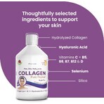Collagen Fluid Hydrolysate Type 1 and 3 (10000 mg), 500 ml, Swedish Nutra Collagen Fluid Hydrolysate Type 1 and 3 (10000 mg), 500 ml, Swedish Nutra