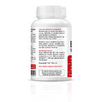 Berberine, 500 mg, 60 capsules, Zenyth Berberine, 500 mg, 60 capsules, Zenyth