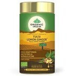 Adaptogen Tea Turmeric and Ginger, 25 sachets, Organic India Adaptogen Tea Turmeric and Ginger, 25 sachets, Organic India