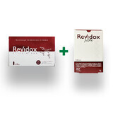 Set Revidox+Revidox DNA, 30+28 capsules, Actafarma