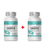 Pachet Ulei de canepa, 1000 mg, 90 + 30 capsule, Cosmopharm