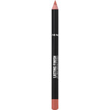 Rimmel London Lipstick Lasting Finish 110 Spice, 1.2 g