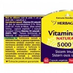 Detrix Forte Vitamin D3 5000 IU, 120 capsules, Herbagetica